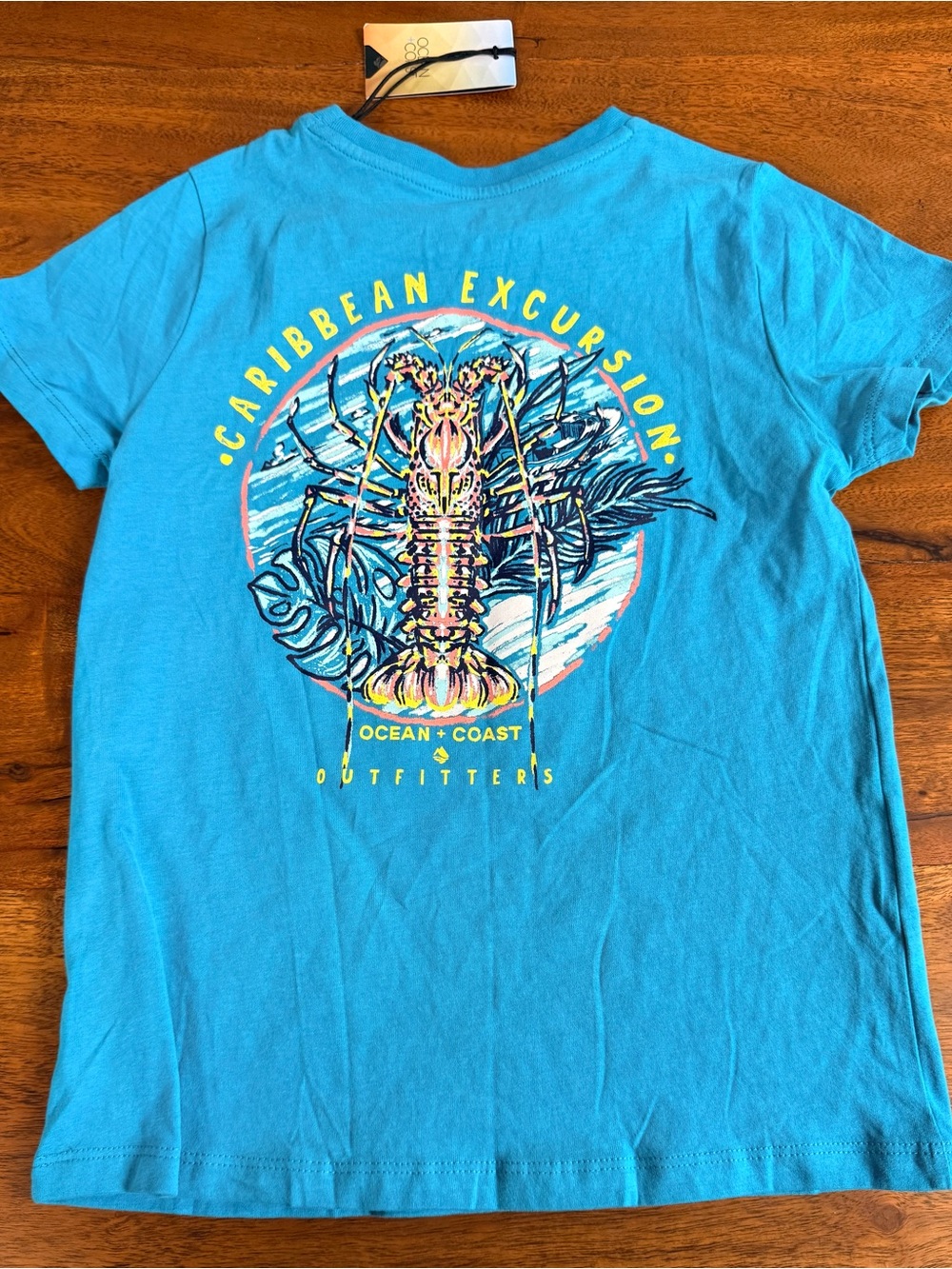 Brand New-Ocean+Coast Caribbean Excursion Graphic Tee - Bright Turquoise